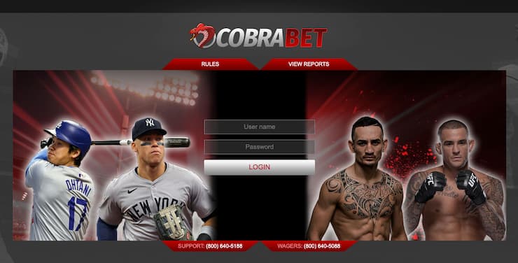 A view of the main screen on CobraBet, one of the best online betting sites in Ireland.